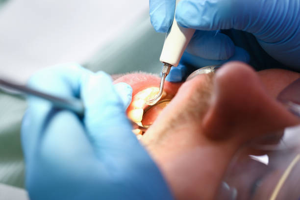 Best Emergency X-Rays and Diagnostics in North Beach, MD